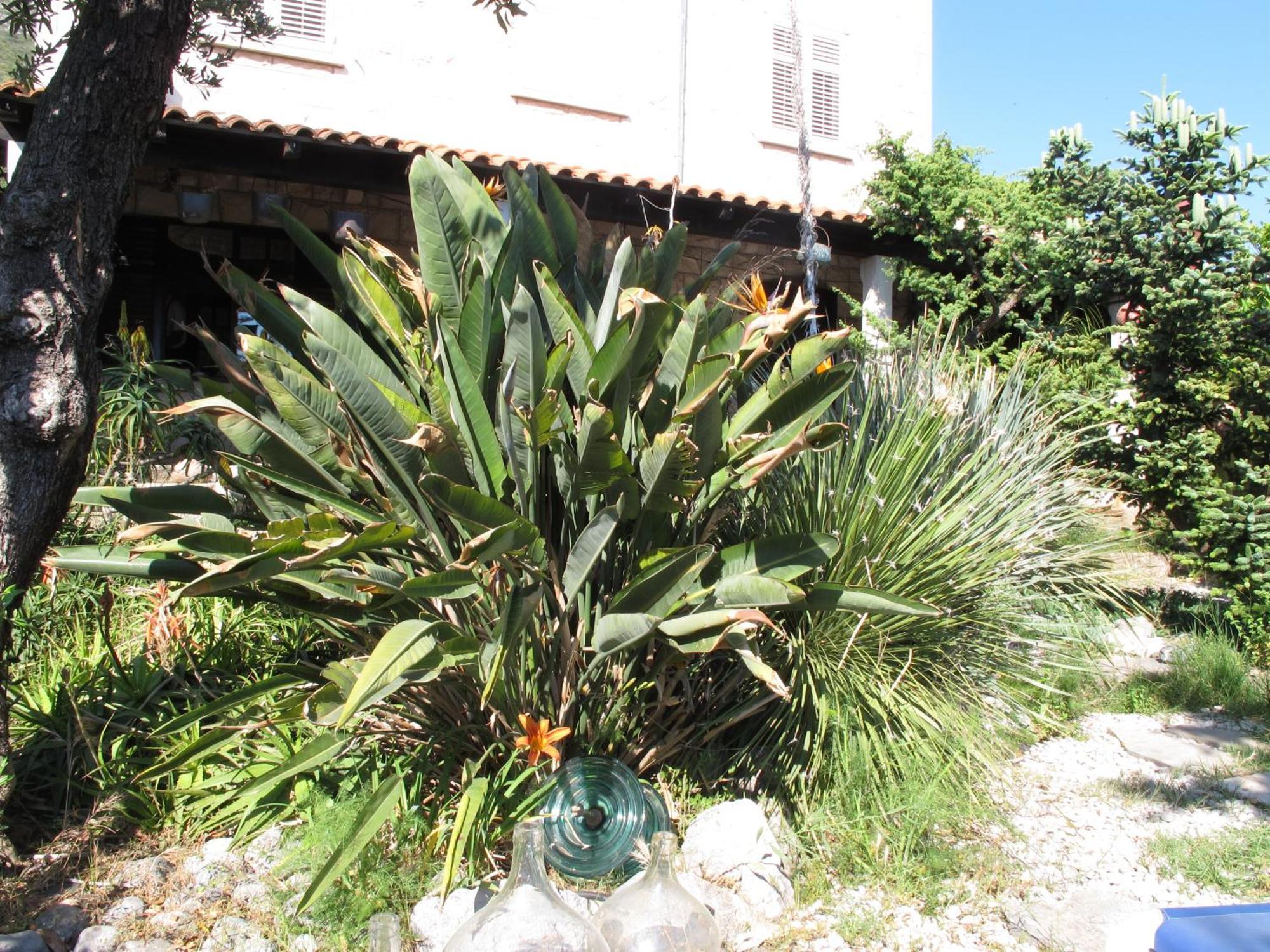 Guest House Maria Bilicic 2 Dubrovnik Exterior photo